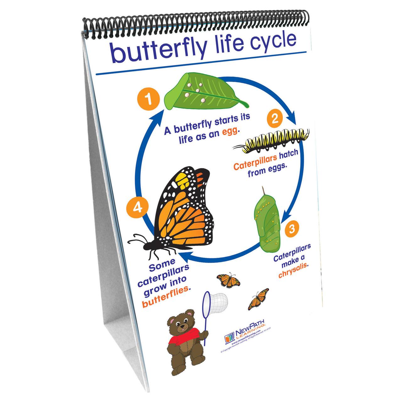 New Path Learning® Science Flip Charts, All About Animals